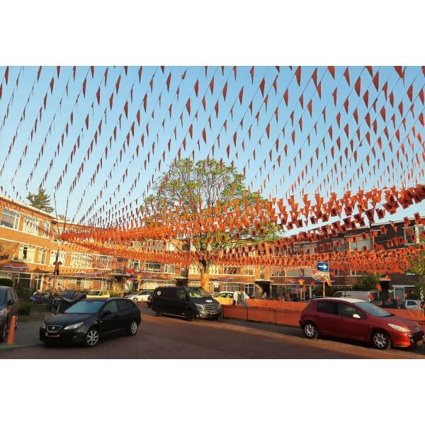 3000 Meter Oranje Vlaggenlijn met 5400 Puntvlaggen – WK Actiepakket 2026 3000 Meter Oranje Vlaggenlijn met 5400 Puntvlaggen – WK Actiepakket 2026